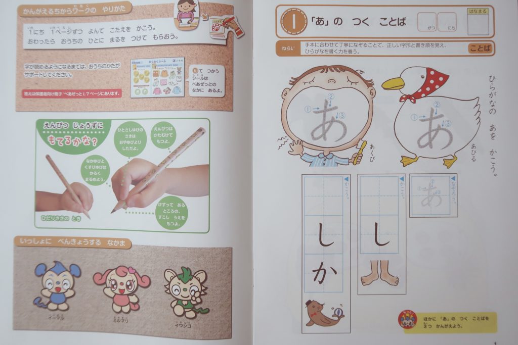 z会幼児お試し