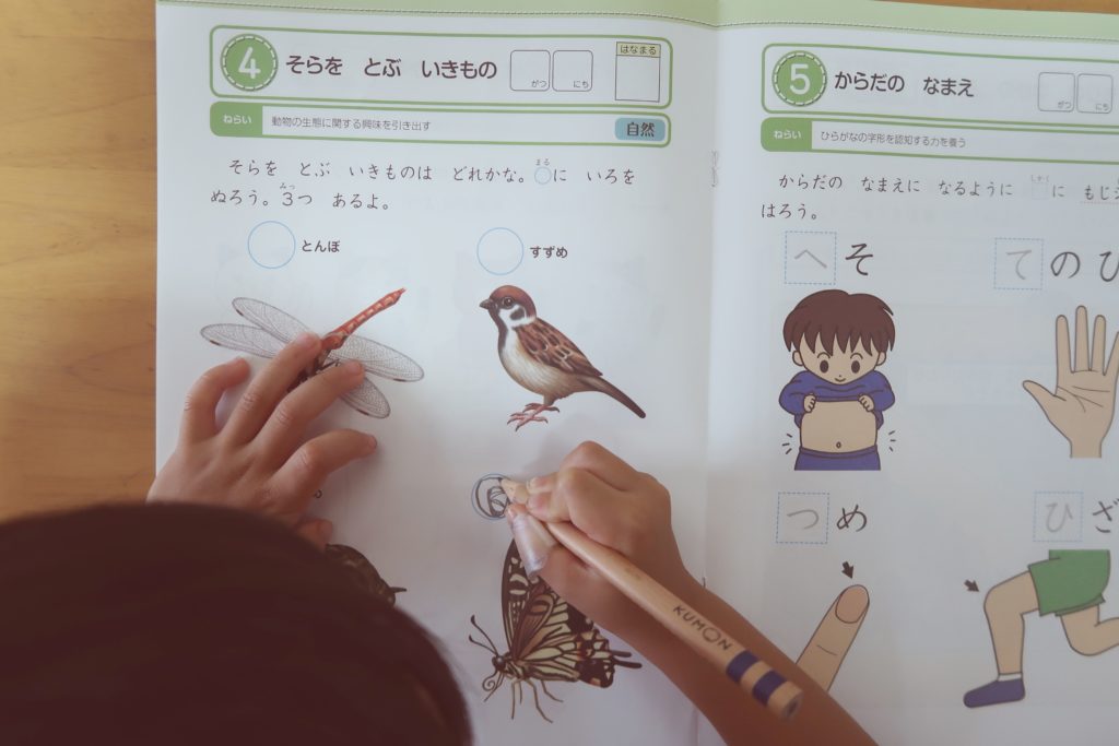 z会お試し年少