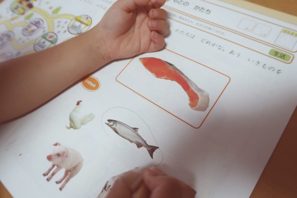 z会幼児お試しやってみた